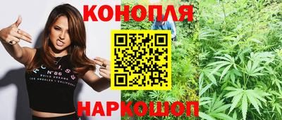 прущие грибы Камышлов