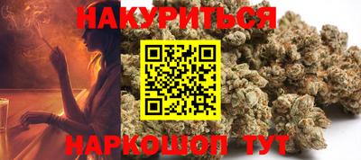 прущие грибы Камышлов