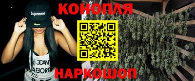 прущие грибы Камышлов