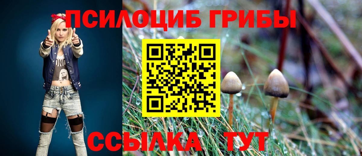 Псилоцибиновые грибы прущие грибы Кунгур